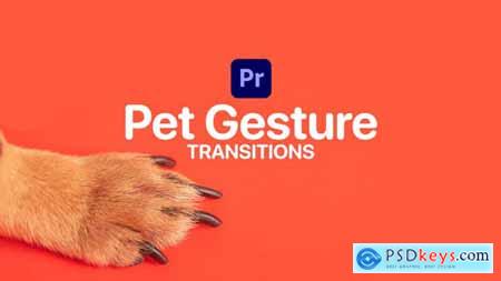 Pet Gesture Transitions for Premiere Pro 47367384