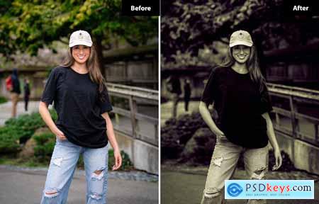 6 Cerulean Lightroom and Photoshop Presets