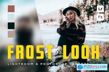 6 Frost Look Lightroom and Photoshop Presets