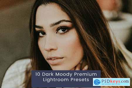 10 Dark Moody Premium Lightroom Presets