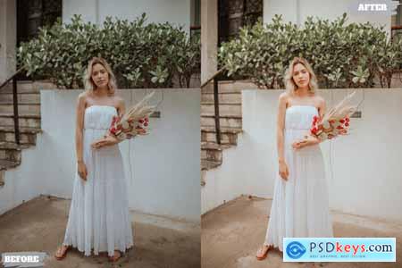 Korean Style Lightroom Presets Dekstop and Mobile