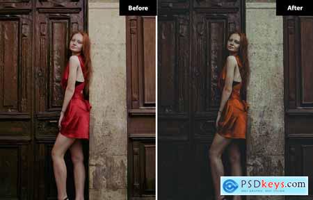 6 Tawny sunless Lightroom and Photoshop Presets