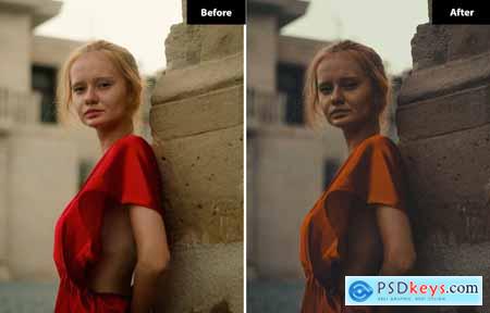 6 Tawny sunless Lightroom and Photoshop Presets