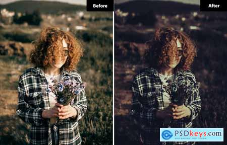 6 Porcelain Lightroom and Photoshop Presets