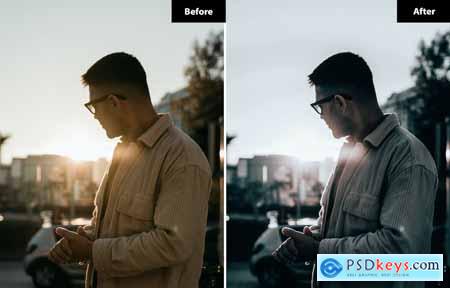 6 Periwinkle Lightroom and Photoshop Presets