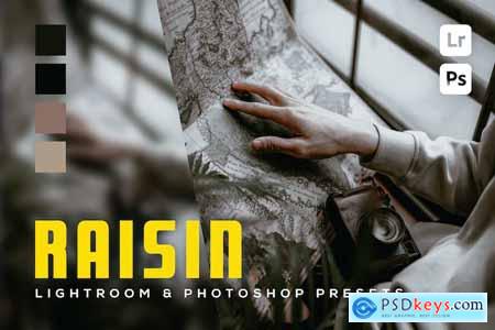 6 Raisin Lightroom and Photoshop Presets