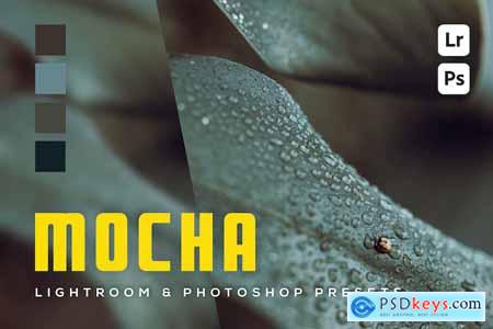 6 Mocha Lightroom and Photoshop Presets