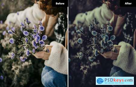 6 Porcelain Lightroom and Photoshop Presets