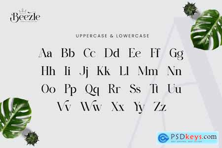 Beezle Modern Serif Font