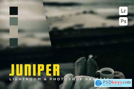 6 Juniper Lightroom and Photoshop Presets