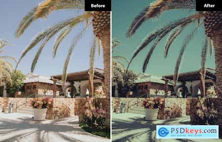 6 Mulberry Lightroom and Photoshop Presets