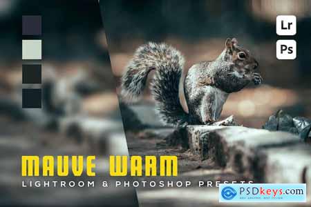 6 Mauve warm Lightroom and Photoshop Presets