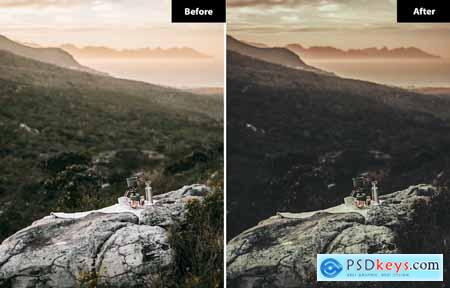 6 Grape Lightroom and Photoshop Presets