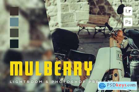 6 Mulberry Lightroom and Photoshop Presets