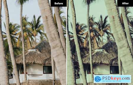 6 Mulberry Lightroom and Photoshop Presets