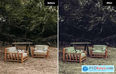 6 Mulberry Lightroom and Photoshop Presets