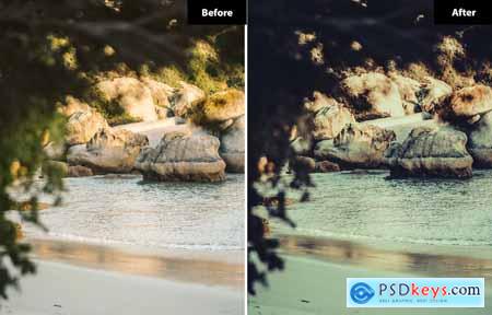 6 Heather Lightroom and Photoshop Presets