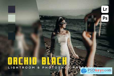 6 Orchid black Lightroom and Photoshop Presets