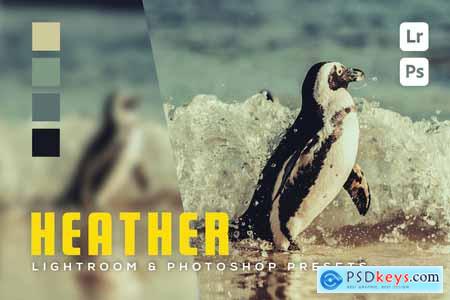 6 Heather Lightroom and Photoshop Presets