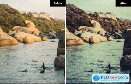 6 Heather Lightroom and Photoshop Presets