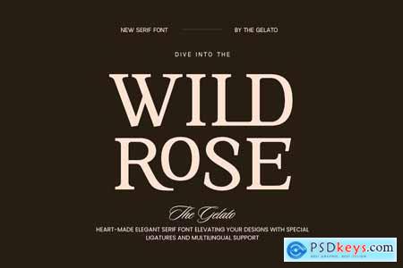 Wild Rose Modern Minimal Serif Font