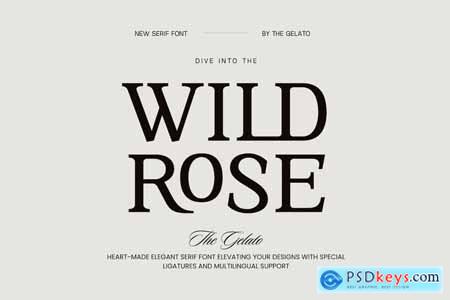 Wild Rose Modern Minimal Serif Font