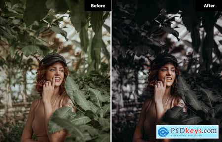 6 Boysenberry Lightroom and Photoshop Presets