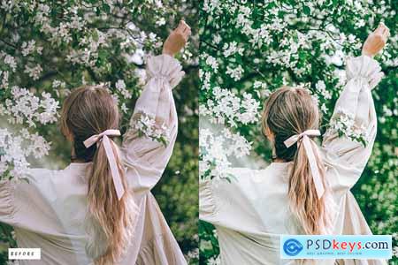 15 Firoza Premium Lightroom Presets