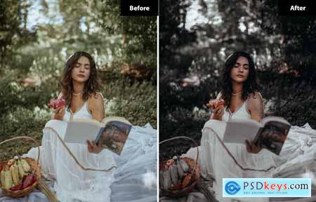 6 Boysenberry Lightroom and Photoshop Presets