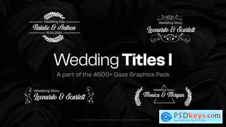 Elegant Wedding Titles 47686653