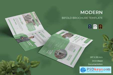 Modern - Bifold Brochure