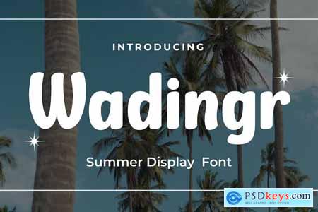 Wadingr Summer San Serif Display