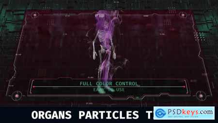 Particles Organs Titles 47728572