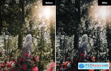 6 Candy Lightroom and Photoshop Presets