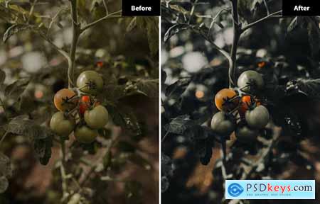 6 Candy Lightroom and Photoshop Presets