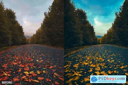 Autumn Fall Presets for Lightroom Mobile & Desktop