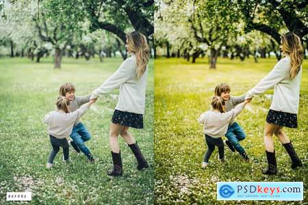 10 Premium Lightroom Presets