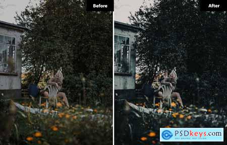 6 Candy Lightroom and Photoshop Presets