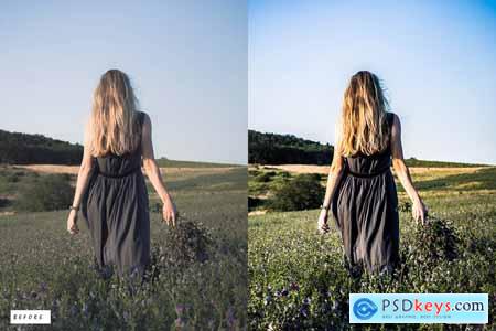 10 Premium Lightroom Presets