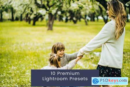 10 Premium Lightroom Presets