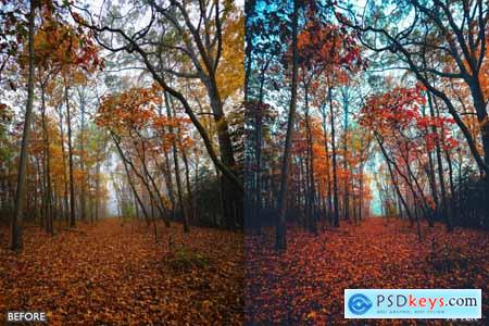 Autumn Fall Presets for Lightroom Mobile & Desktop