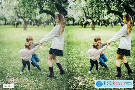 10 Premium Lightroom Presets