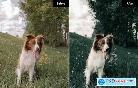 6 Bright Green Lightroom and Photoshop Presets