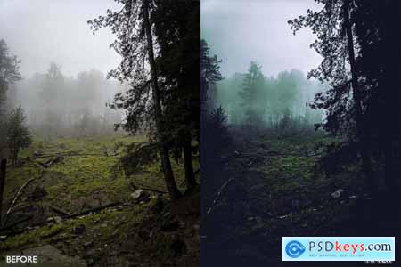 Landscape and Nature dark green Lightroom Presets