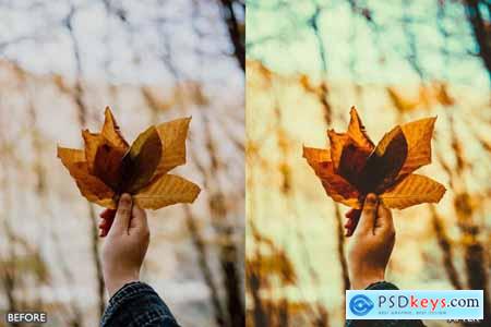 Autumn Fall Presets for Lightroom Mobile & Desktop