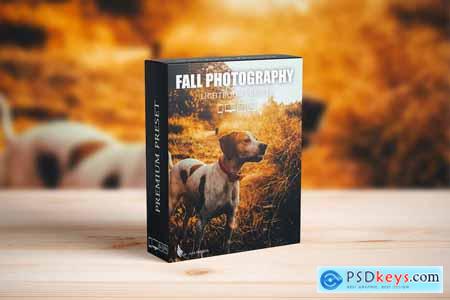 Autumn Fall Presets for Lightroom Mobile & Desktop