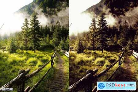 Landscape and Nature dark green Lightroom Presets