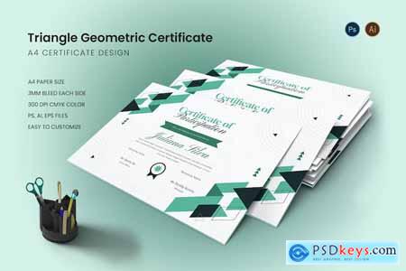 Triangle Geometric Certificate