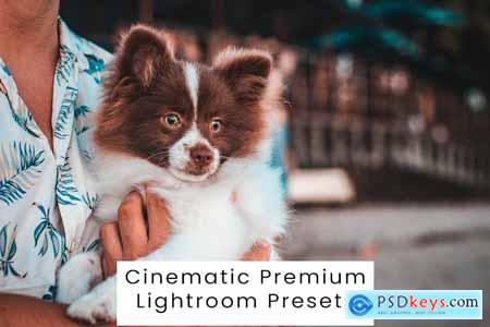 Cinematic Premium Lightroom Presets