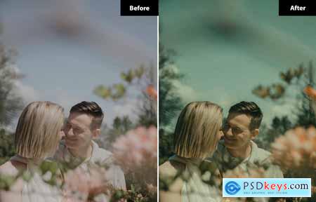 6 Farms gradient Lightroom and Photoshop Presets